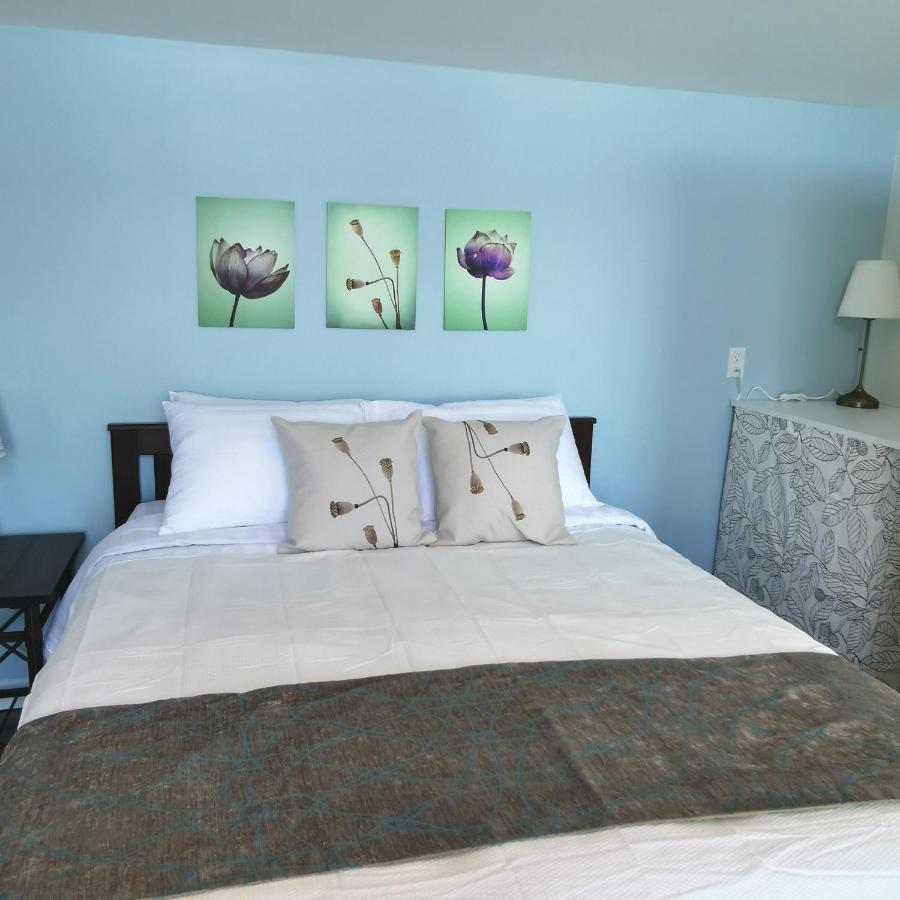Knotty Pine Ocean Front Suite - Adults Only Ingonish Eksteriør billede