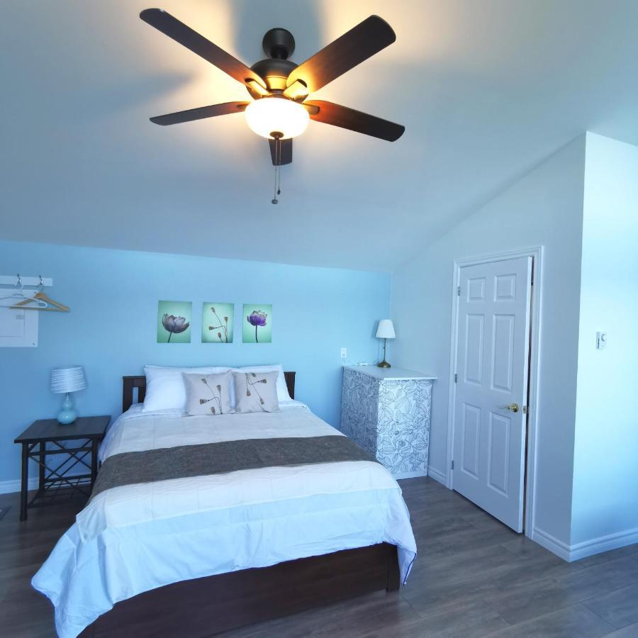 Knotty Pine Ocean Front Suite - Adults Only Ingonish Eksteriør billede